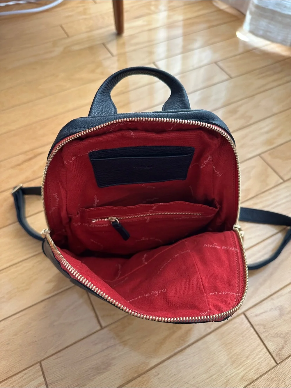 Hammitt Black Leather Small Backpack with Red Trim